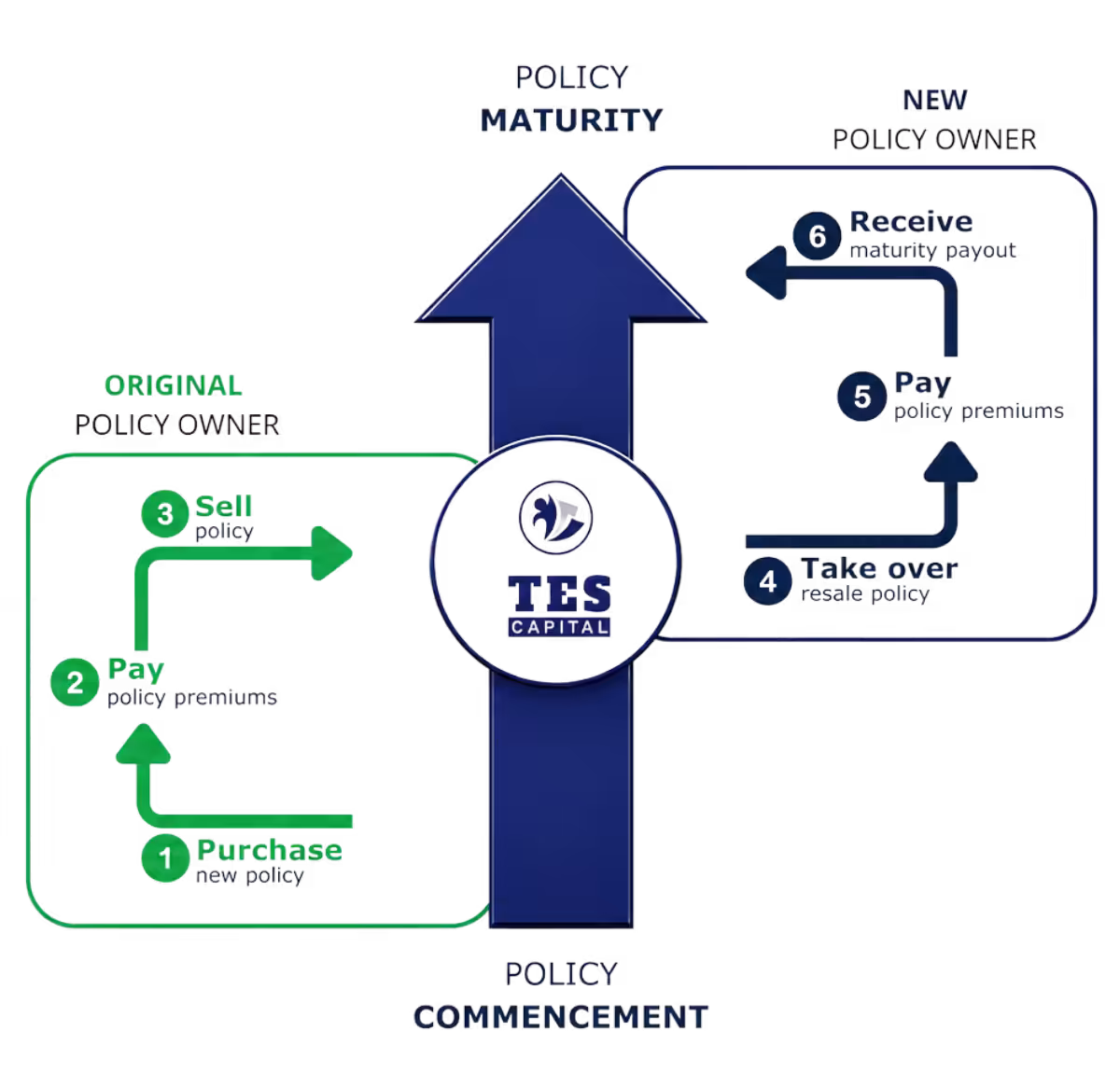 How traded endowment policies work in Singapore How traded endowment policies work in Singapore